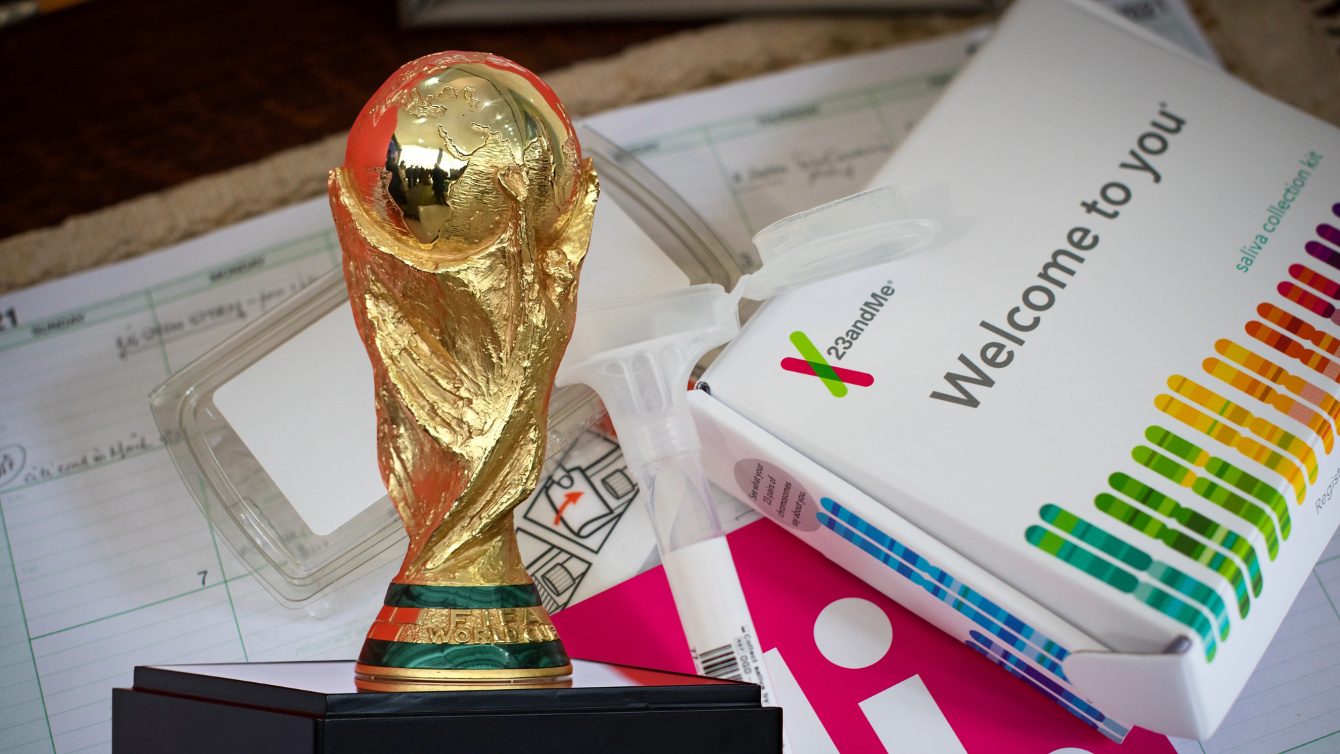 Some FIFA World Cup fans using DNA ancestry results to find teams to support