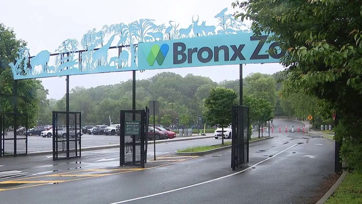 Crocodile bites zookeeper at Bronx Zoo
