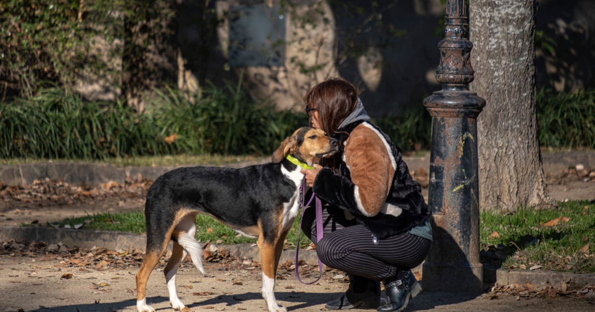 You could get $900 tax credit for owning pets in NJ: Here's how