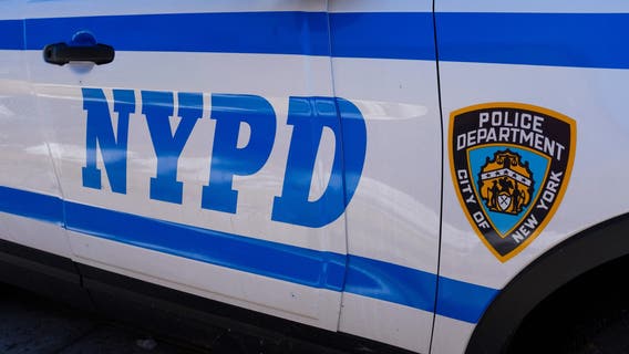 Teenager arrested after 9-year-old punched multiple times in the face at Bronx park