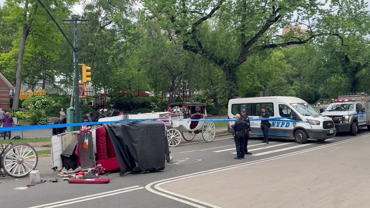 18-year-old killed after horse carriage crashes in Central Park