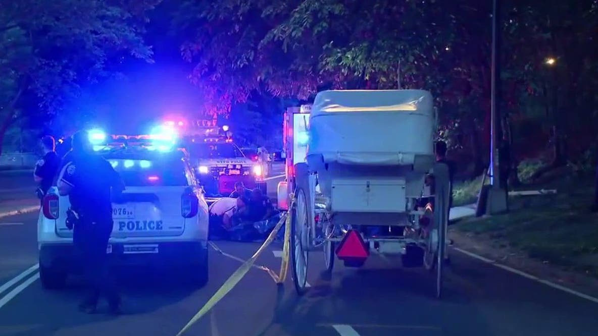 Central Park carriage horse died after eating toxic shrub, necropsy reveals