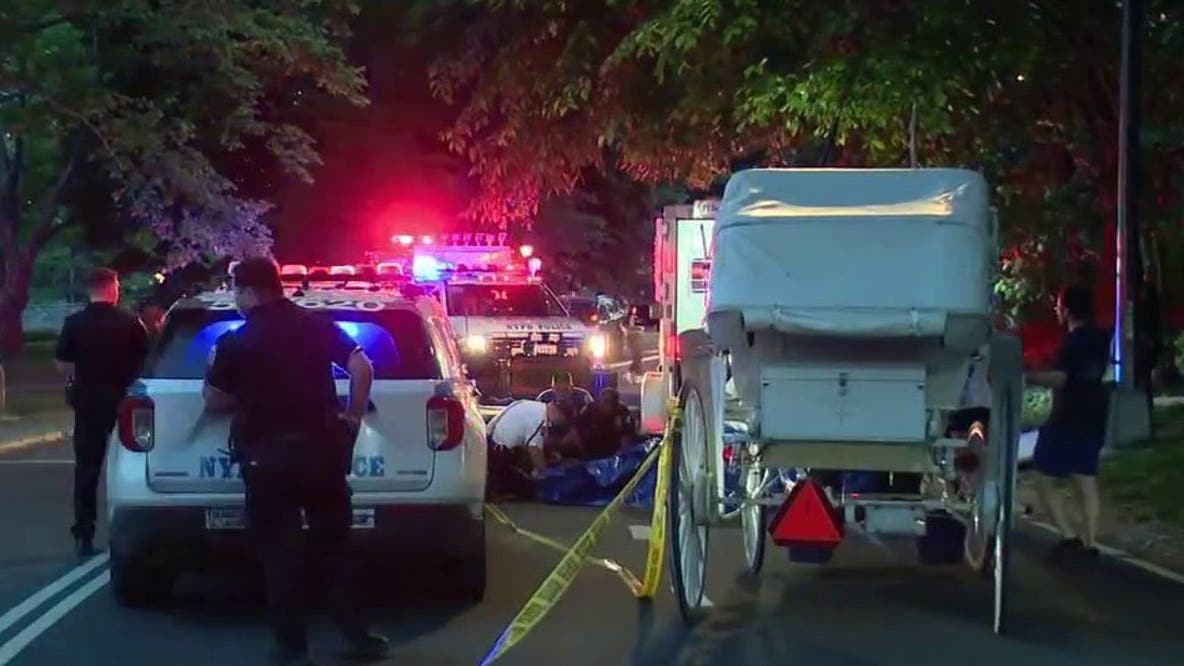 Carriage horse collapses and dies in Central Park