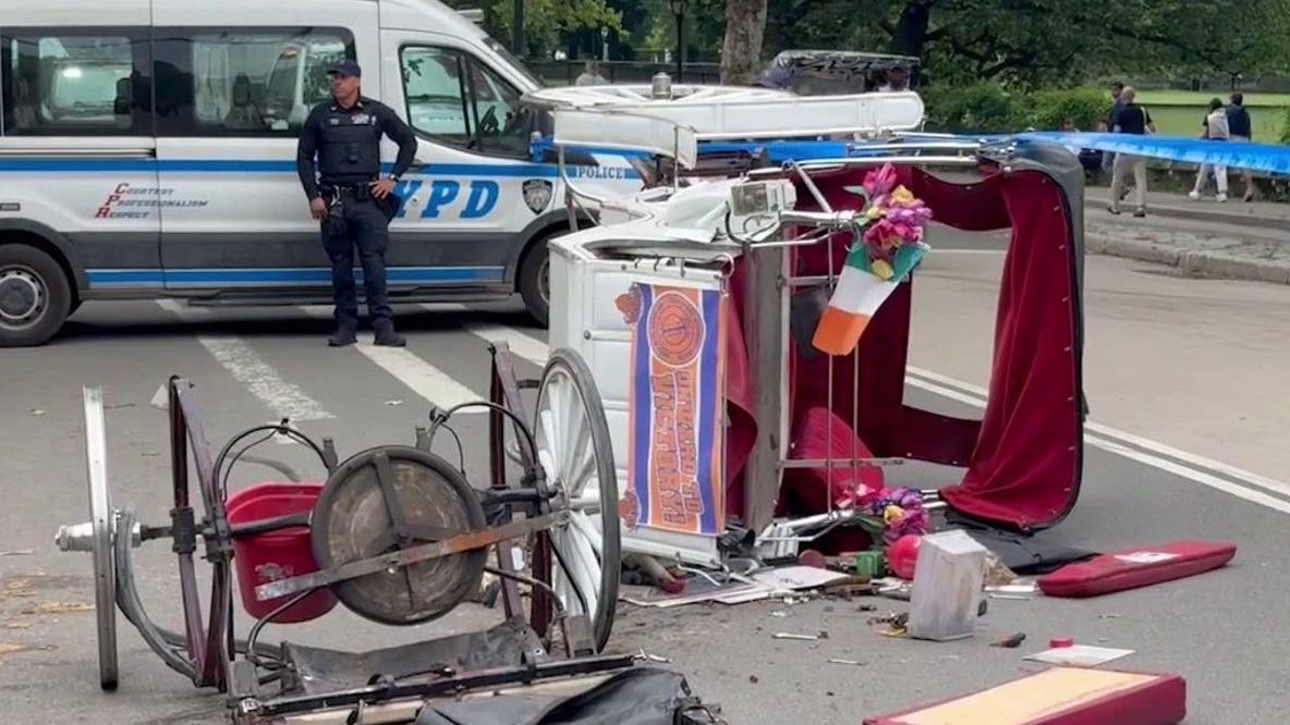 Central Park horse carriage drivers undergo safety training after teen killed in runaway crash