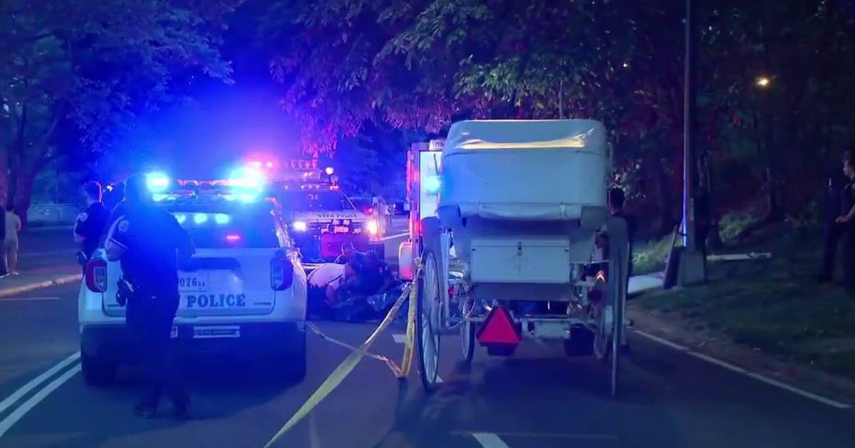 Cavalos transportados no Central Park morreram após ingerir arbustos tóxicos, revelou uma autópsia
