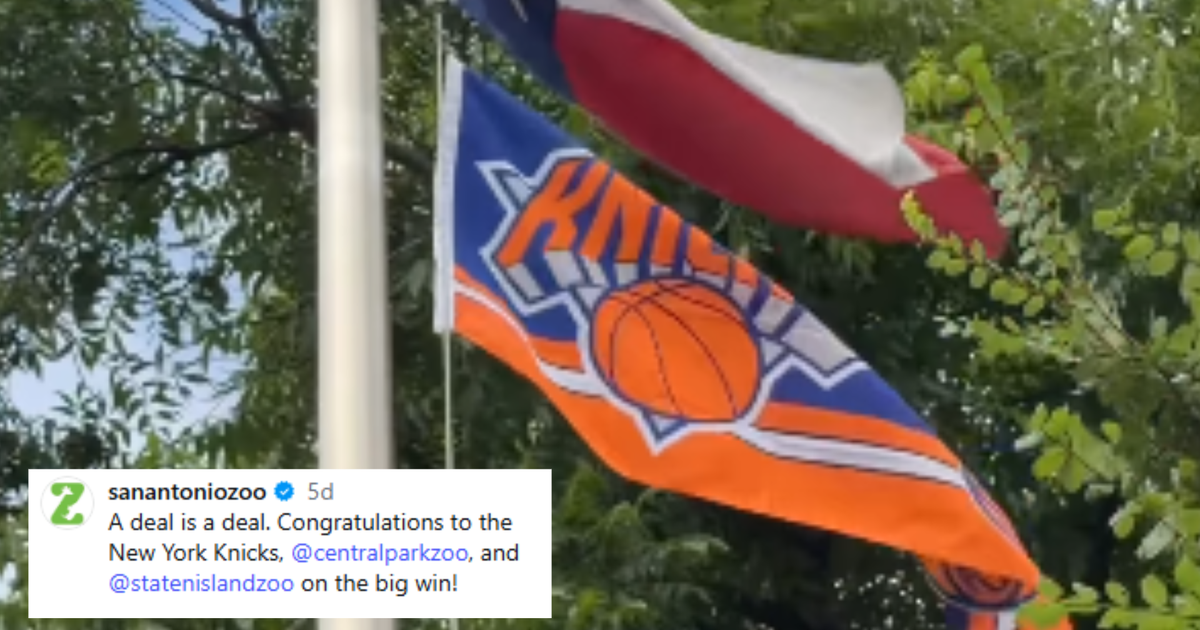Zoológico de San Antonio desfralda bandeira dos Knicks após perder aposta: ‘Um acordo é um acordo’ Zoológico de San Antonio desfralda bandeira dos Knicks após perder aposta: ‘Um acordo é um acordo’