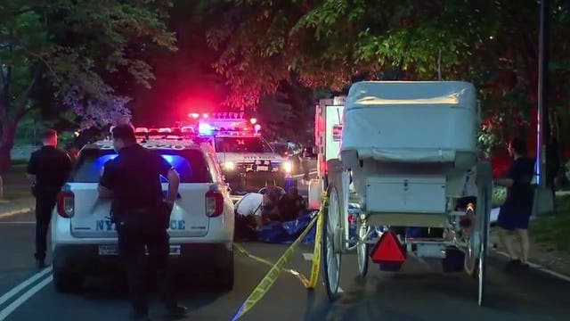 Carriage horse collapses and dies in Central Park