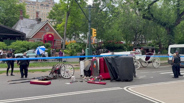 18-year-old killed after horse carriage crashes in Central Park