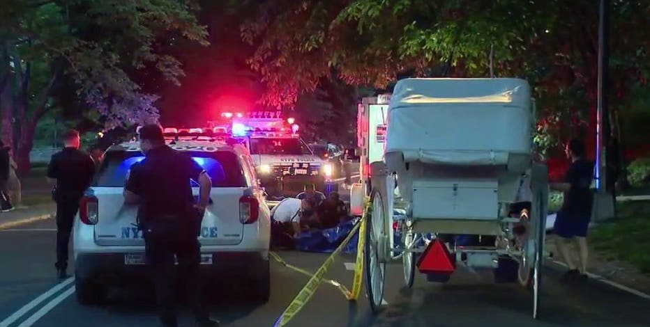 Carriage horse collapses and dies in Central Park