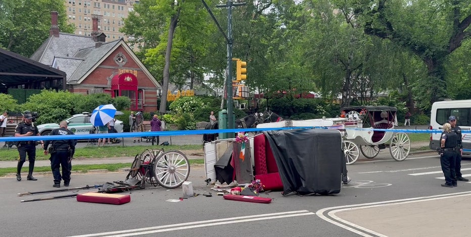 18-year-old killed after horse carriage crashes in Central Park
