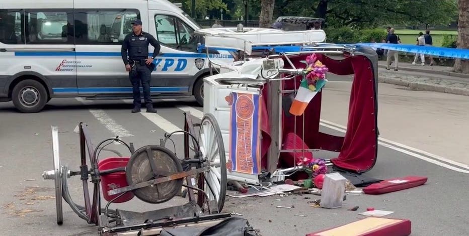 Central Park horse carriage drivers undergo safety training after teen killed in runaway crash