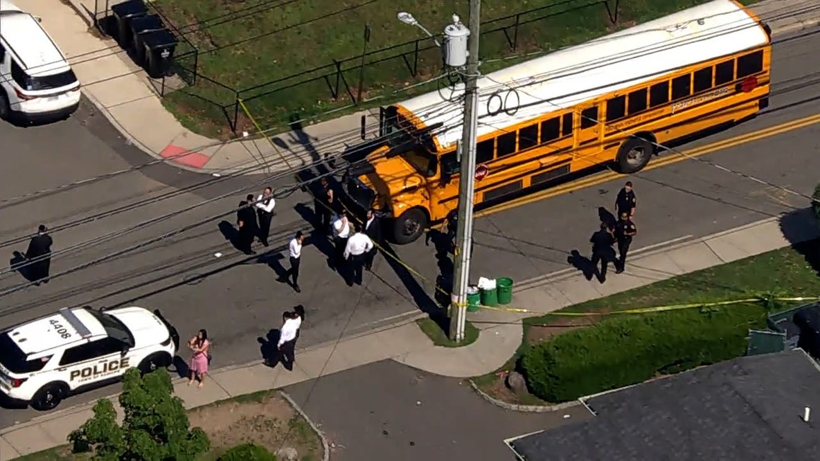 7-year-old struck and killed by school bus in NY