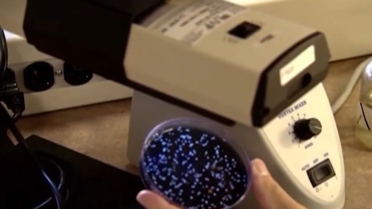 5th person dies from UES Legionnaires' disease cluster