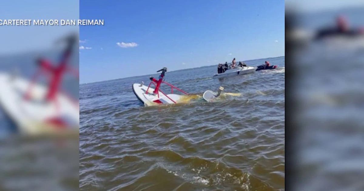 Baleia afunda barco de bombeiros em NJ; espectadores vêm em socorro Baleia afunda barco de bombeiros em NJ; espectadores vêm em socorro