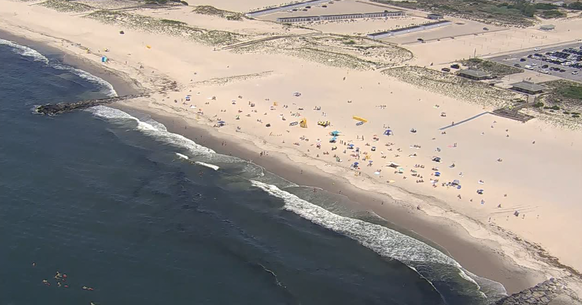 Tubarão de quase três metros avistado em Point Lookout, nadando com bandeira vermelha