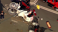 Electric shock may have caused Central Park carriage horse to bolt in fatal crash, union says