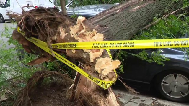 NYC storm cleanup underway after severe weather leaves trail of damage