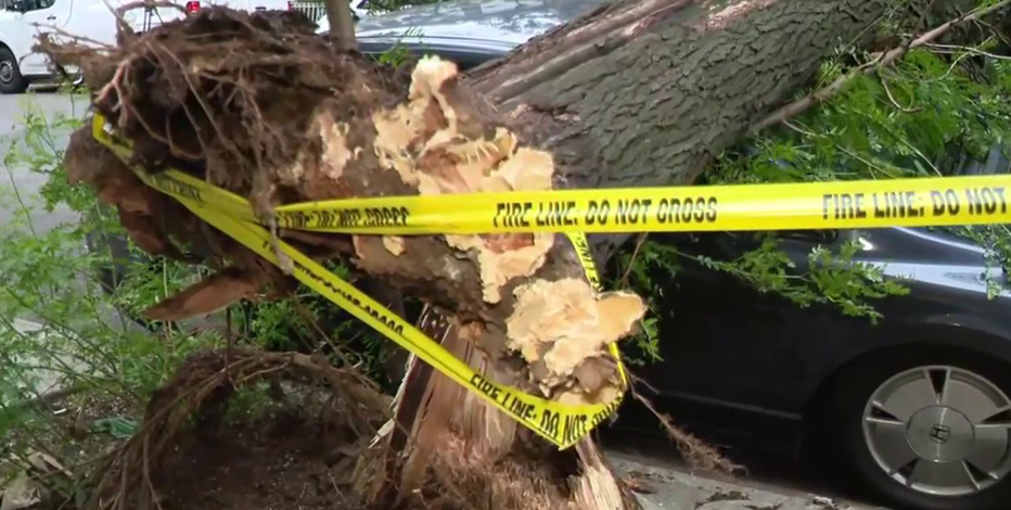 NYC storm cleanup underway after severe weather leaves trail of damage
