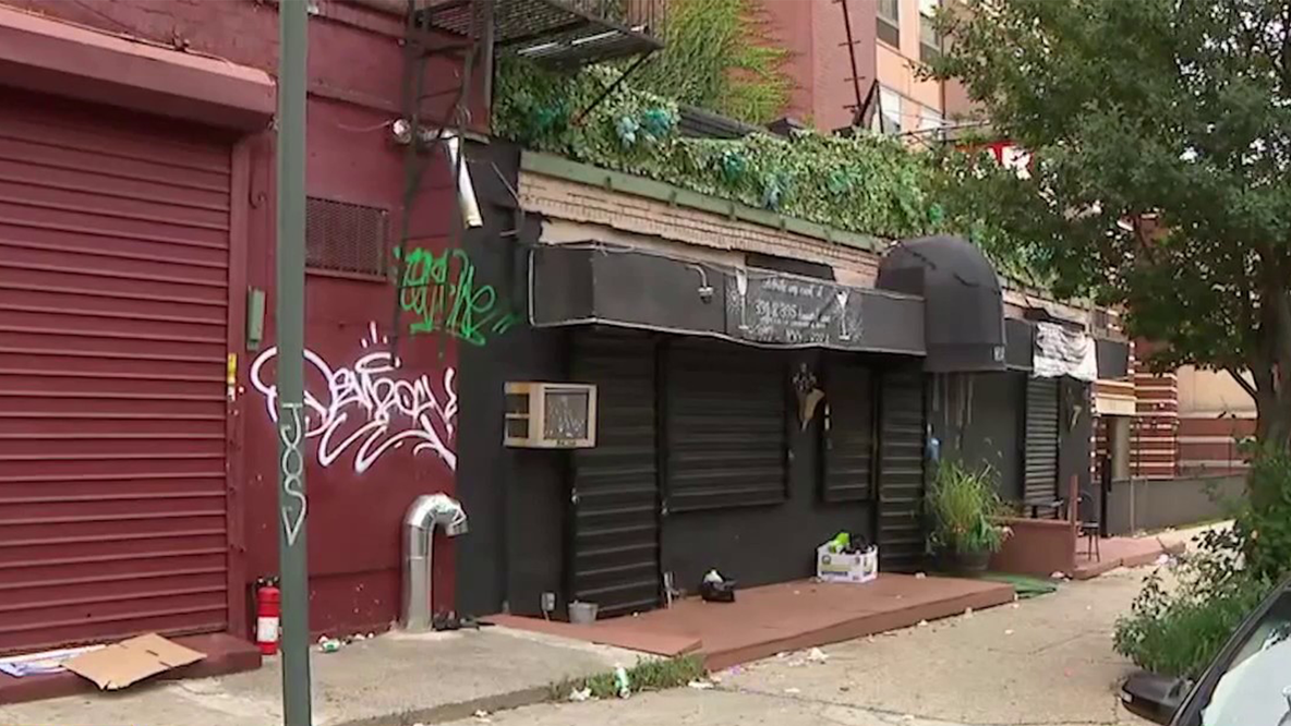 Brooklyn mom, 33, killed in stray-bullet shooting at bar in Crown Heights, NYPD says