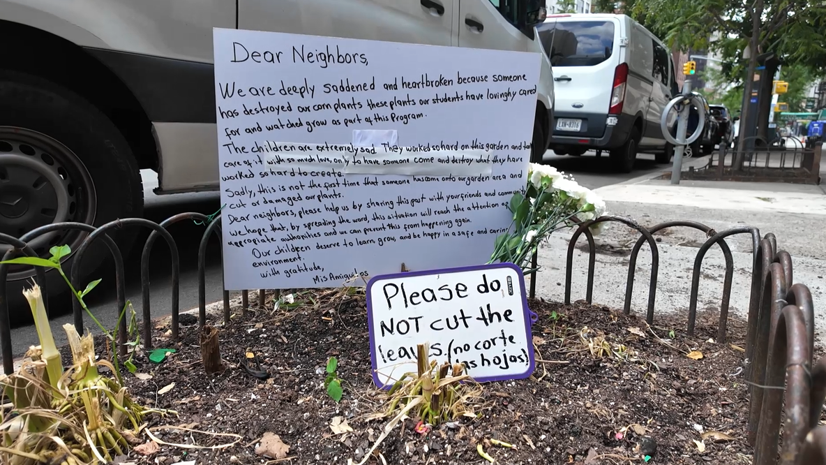 Kids' corn project chopped down on Upper East Side