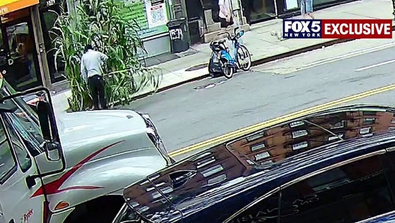 NYC kids' corn project chopped down; exclusive surveillance released