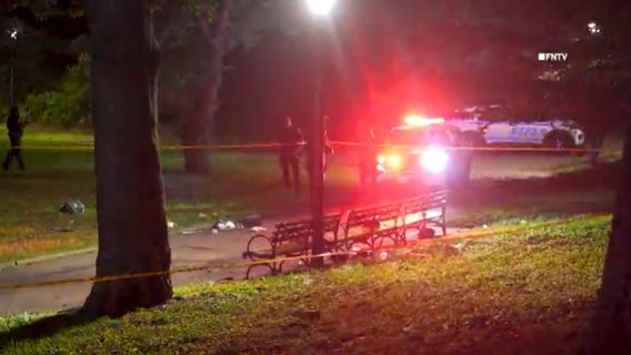 Woman, 30, killed in Brooklyn park stabbing, NYPD says
