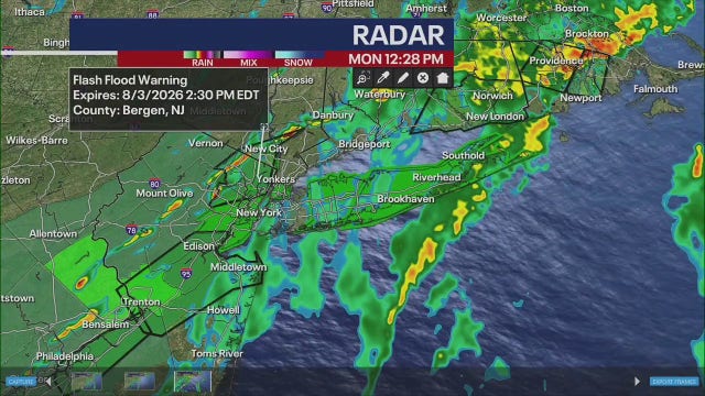 Flood watch issued for NYC, NJ amid heavy rainfall; Up to 3 inches of rain possible Monday