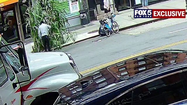 NYC kids' corn project chopped down; exclusive surveillance released