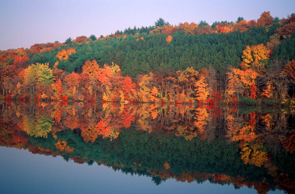 When is the best time to see peak fall colors across the Northeast?