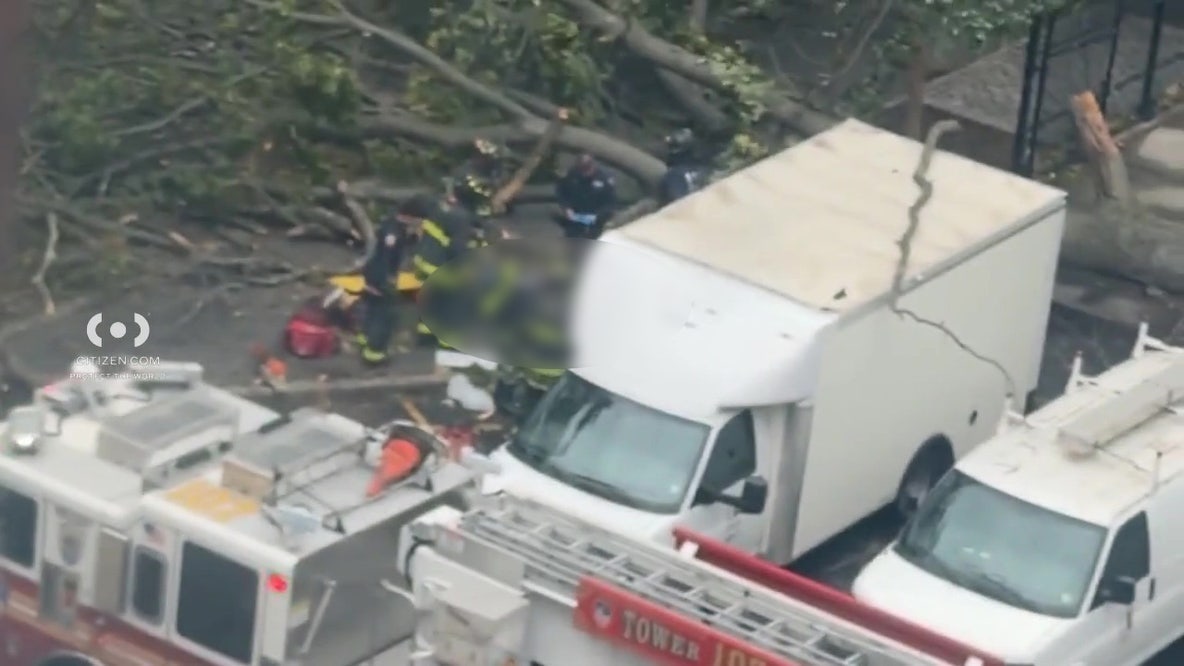 Man killed by fallen tree in Brooklyn amid weekend nor'easter