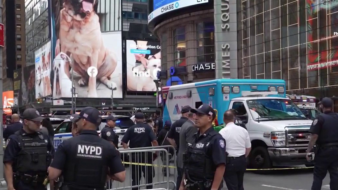 Bank of America executive Erin Piacenti killed in Times Square stabbing spree, NYPD says
