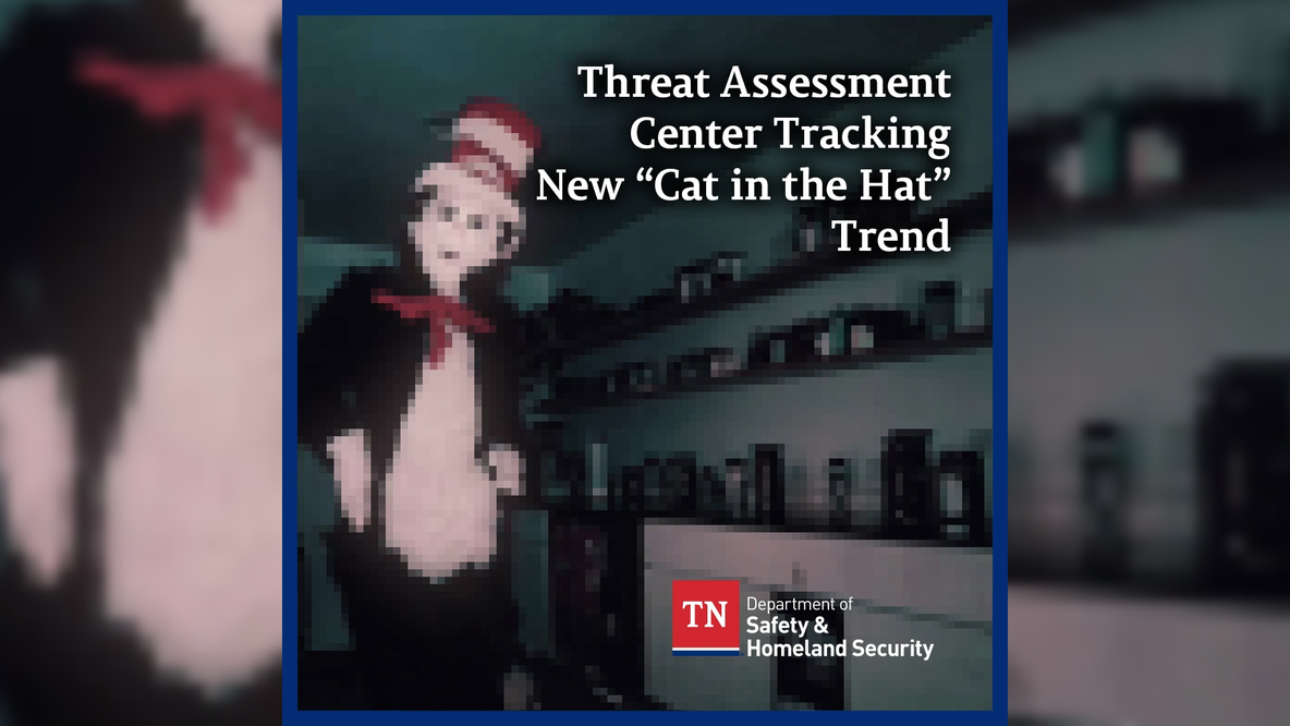 Viral Cat in the Hat AI trend sparks safety warnings for schools and students