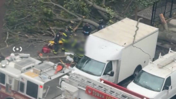 Man killed by fallen tree in Brooklyn amid weekend nor'easter