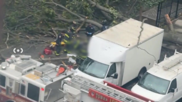 Man killed by fallen tree in Brooklyn amid weekend nor'easter