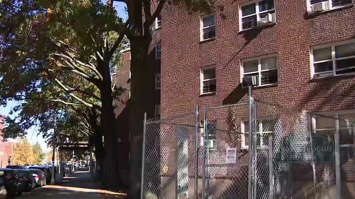 Pregnant Brooklyn mother set on fire in disturbing attack in front of child, police sources say