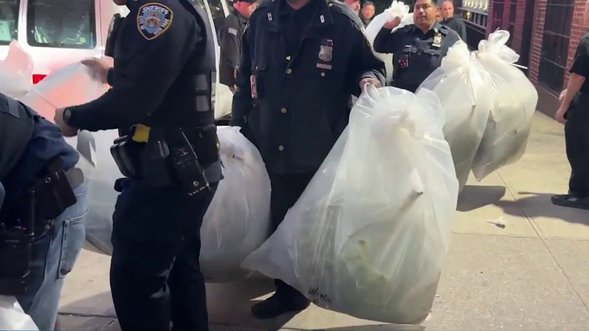 Bronx marijuana grow house discovered during eviction, dozens of plants seized, authorities say