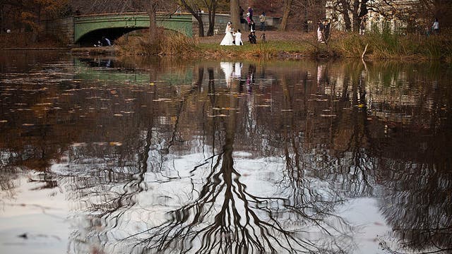 2026 Thanksgiving weather forecast: Farmers' Almanac predictions for the Northeast