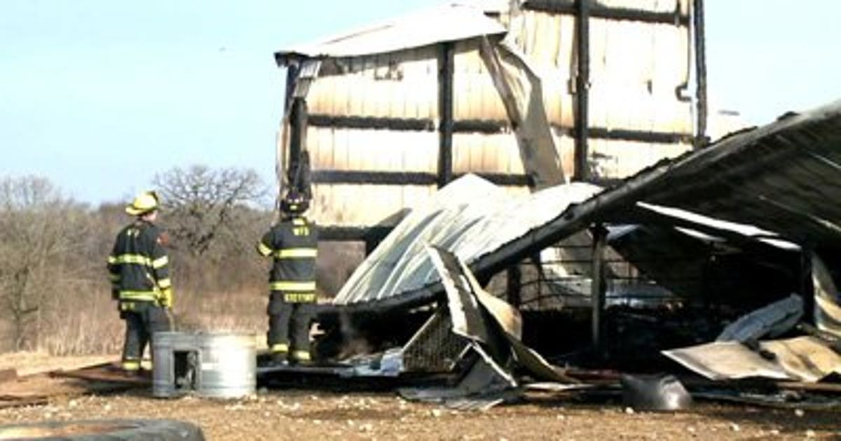 Approx. 200 animals die after barn catches fire, collapses | FOX6 Milwaukee