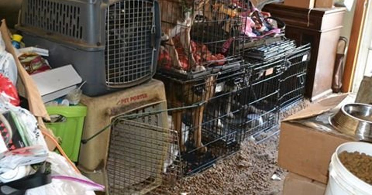 Wisconsin Humane Society: 22 dogs seized from home in Racine must be ...