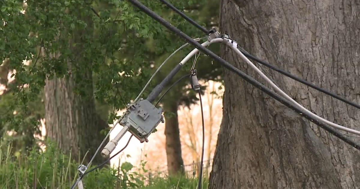 Strong storms once again roll through SE Wisconsin, downing trees ...