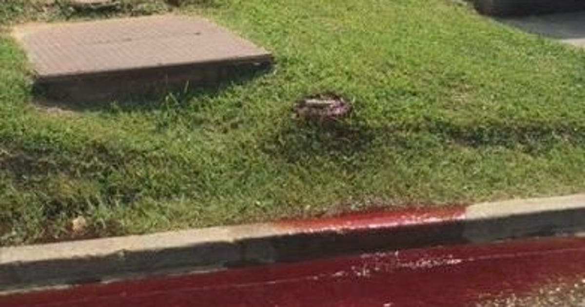 Photos show blood pooling in street behind Louisiana funeral home