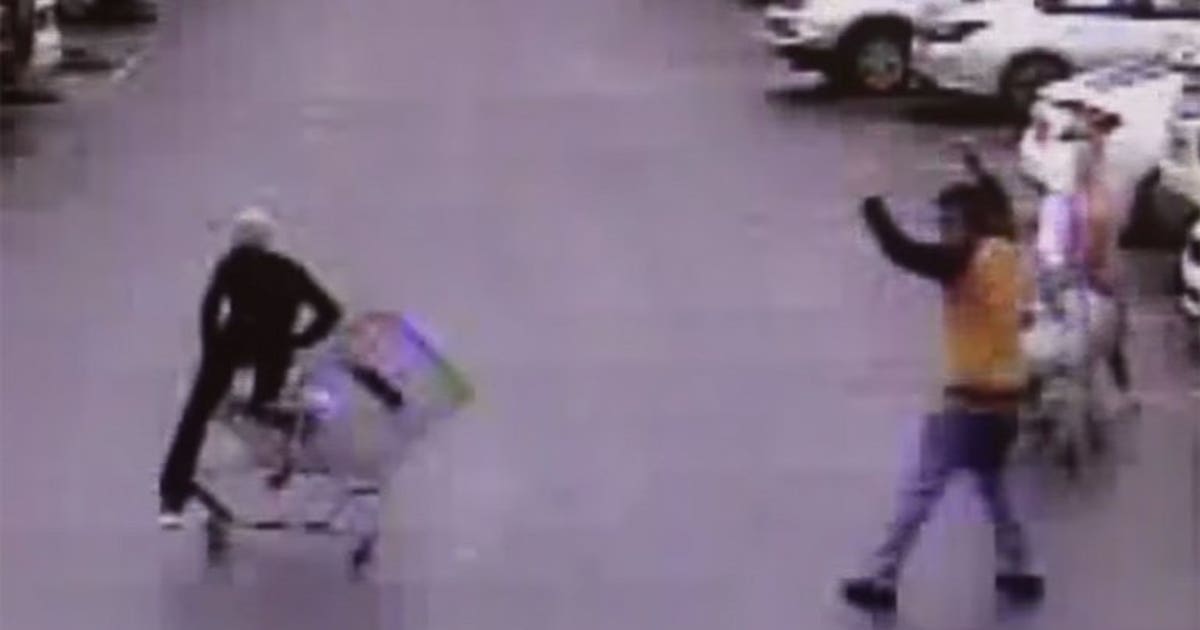 Caught on camera: Police chasing shoplifter get an assist from a quick ...