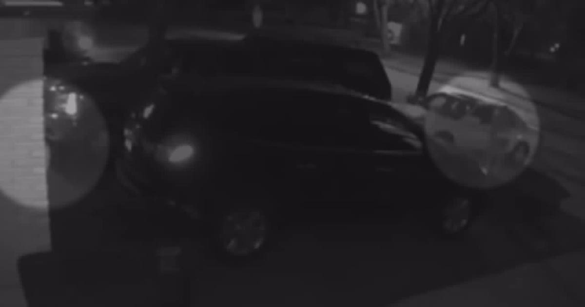 'Let's not make it easy for them:' Prowling suspects on camera in ...