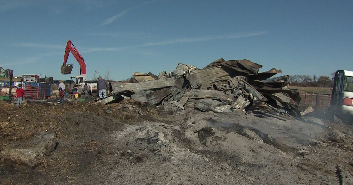 Family picks up the pieces after fire destroyed barn, killed prized ...