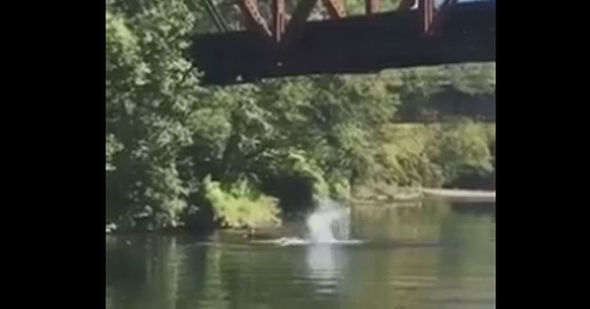 Video captures 4-year-old boy being thrown off of bridge into river ...
