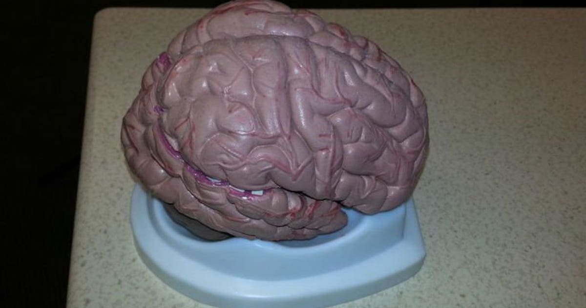 What is a concussion? Learn about the warning signs and treatment ...