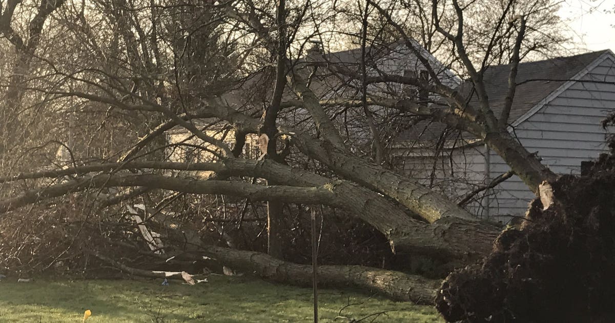 Southeast Wisconsin hit hard by storms; trees downed, power knocked out ...