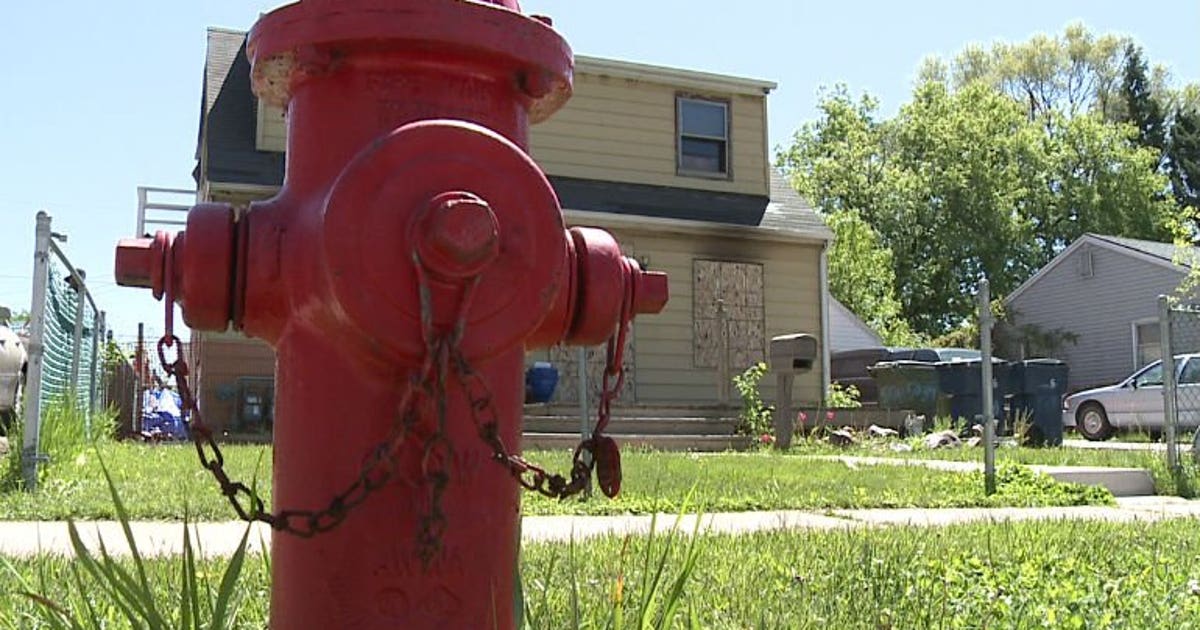 Dog being hailed a hero after alerting owners of fire inside their ...