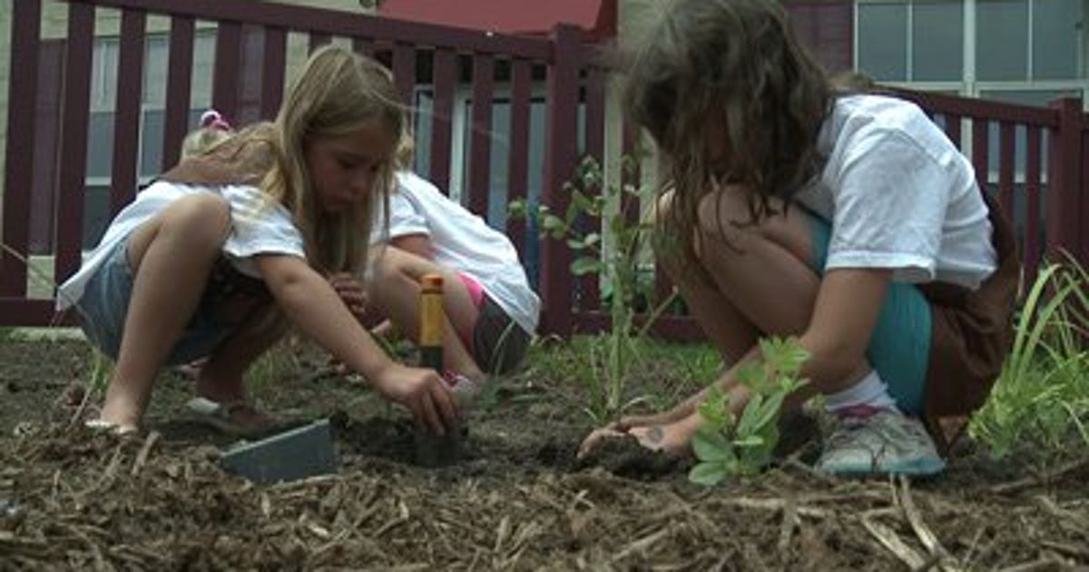 Fiona Ripp Despite extreme heat, Girl Scouts create rain garden | FOX6 Milwaukee