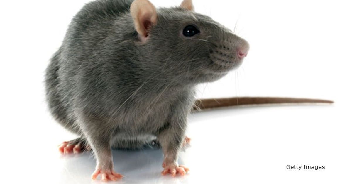 Department of Health Services: 2 cases of rare viral illness linked to ...